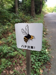 You don't mess with the hornets in Japan